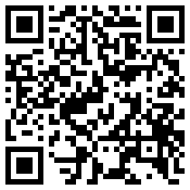 手机/微信访问网站